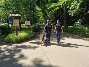 Policjant przewodnik psa wraz z policjantką i psem patrolują teren parku miejskiego.