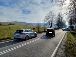 Na drodze stoją dwa radiowozy i jeden samochód, a obok na łące policjanci zatrzymują dwie uciekające osoby.