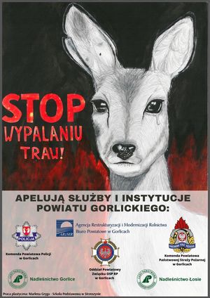 Ulotka informacyjna. Pierwsza strona.