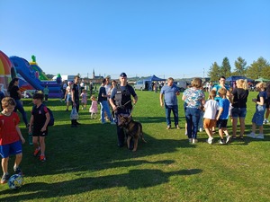 Pies policyjny z przewodnikiem wśród uczestników pikniku.