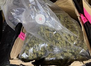 W worku znajdującym się w tekturowym pudełku zielona granulowana substancja.