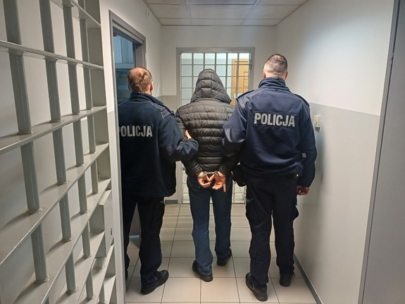 Dwóch policjantów z zatrzymanym w środku stojących tyłem. Zatrzymany ma założone kajdanki na ręce z tyłu.